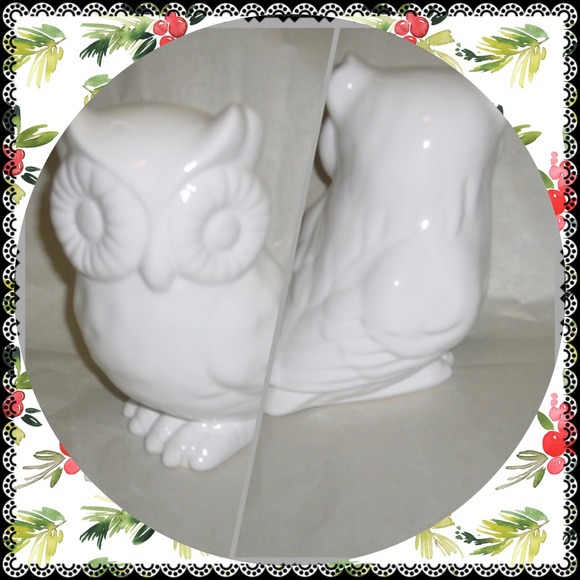 💥💥Special Ceramic White Decorative Owl - Picture 1 of 5
